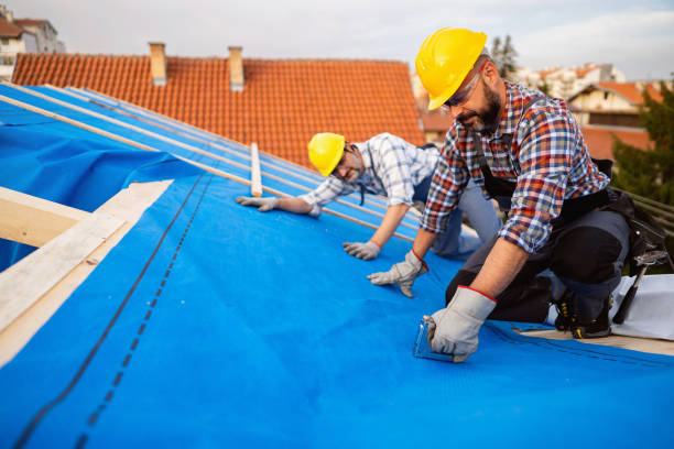 Best Roof Gutter Cleaning  in St Vincent College, PA